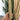 Bamboo Switch Bamboo Sushi Mat on Hand Rolled Up
