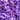 Burlap and Barrel Herati Saffron Purple Flowers from Afghanistan