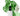 Chlorophyll Water Drops Over Decoration Front Side Picture and Half Opened