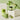Lake and Oak Tea Co. Purely Matcha Front Side Over Decoracion and Examples of Drinks on Crystal Glasses